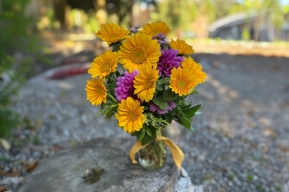 From Field to Vase: Helping Fresh-Cut Flowers Last