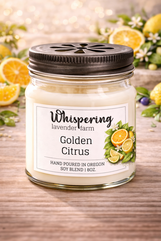 Mason Jar Candle 8oz: Golden Citrus