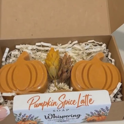 Pumpkin Spice Latte Soap - 2 Pack